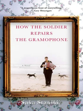 Sasa Stanisic How the Soldier Repairs the Gramophone обложка книги