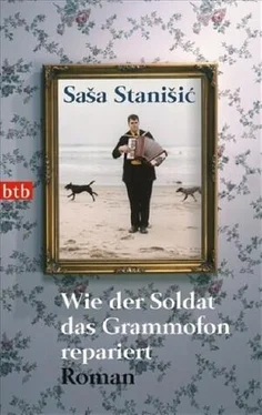 Saša Stanišić Wie der Soldat das Grammofon repariert обложка книги