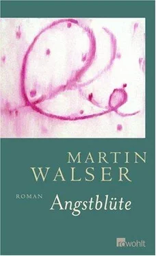 Martin Walser Angstblüte обложка книги