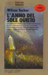Wilson Tucker - L'anno del sole quieto