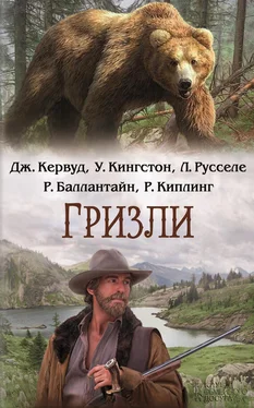 Уильям Кингстон Гризли (сборник) обложка книги