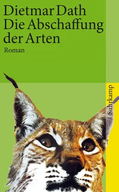 Dietmar Dath Die Abschaffung der Arten обложка книги