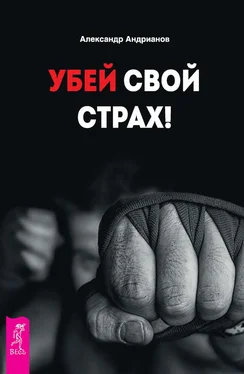 Александр Андрианов Убей свой страх! обложка книги