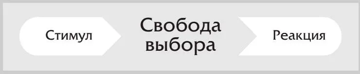 Как я уже писал в своей первой книге о 7 Навыках много лет тому назад бродя - фото 4
