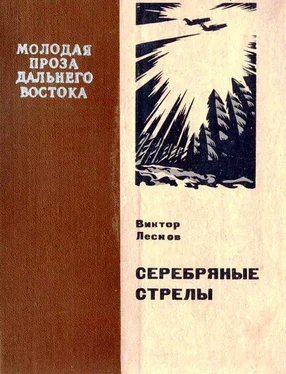 Виктор Лесков Серебряные стрелы обложка книги