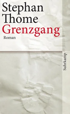 Stephan Thome Grenzgang обложка книги