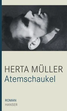 Herta Muller Atemschaukel обложка книги