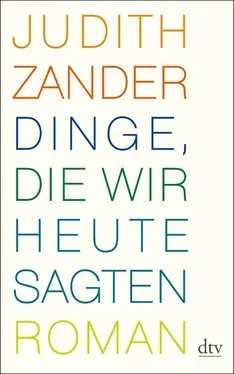 Judith Zander Dinge, die wir heute sagten обложка книги