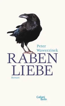 Peter Wawerzinek Rabenliebe обложка книги