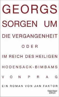 Jan Faktor Georgs Sorggen um die Vergangenheit обложка книги