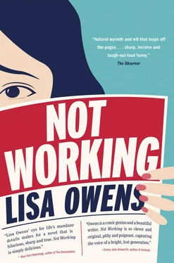 Lisa Owens Not Working обложка книги