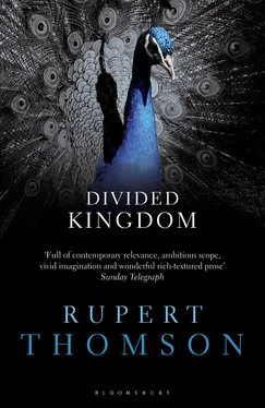 Rupert Thomson Divided Kingdom обложка книги