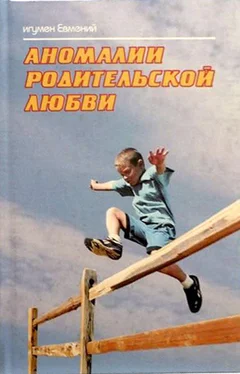 Игумен Евмений Аномалии родительской любви обложка книги