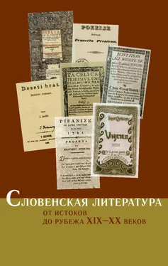 Коллектив авторов Словенская литература. От истоков до рубежа XIX–XX веков обложка книги