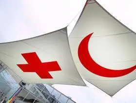 Делегаты съезда проходившего в Женеве предложили использовать обратный - фото 31