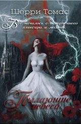 Шерри Томас - Пылающие небеса (ЛП)