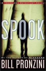 Bill Pronzini - Spook