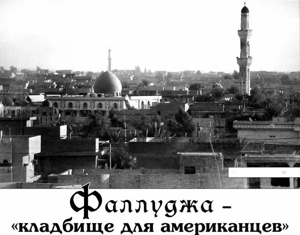 Питбули Америки Корпус морской пехоты США КМП является составной частью - фото 17
