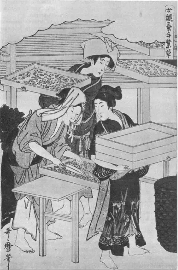 Утамаро Из серии Шелководство Лучше Харунобу рисует женщин Самоуверен - фото 11