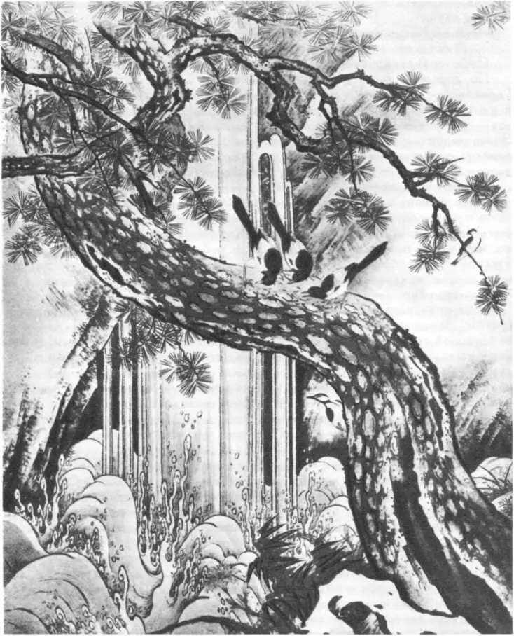 Кано Мотонобу Водопад А вы Я пока что сам учусь этому уклонился от - фото 15