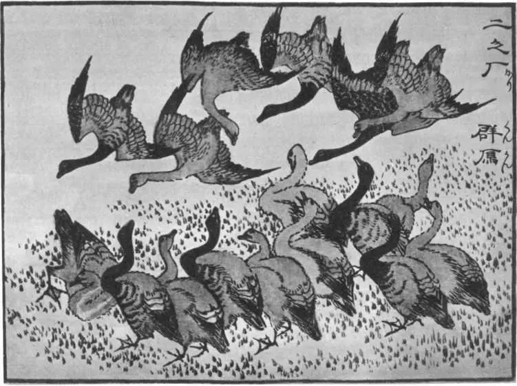 Хокусай Из альбома Птицы Ладно улыбнулся Хокусай но пока что для - фото 69