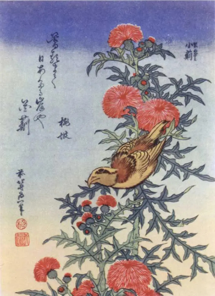 Хокусай Клест и чертополох Из серии Малые цветы Хиросига Дождь Из - фото 74