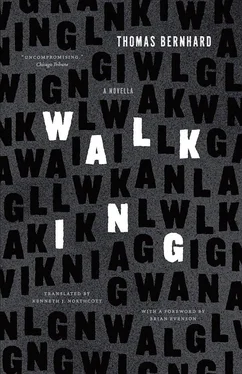 Thomas Bernhard Walking: A Novella обложка книги