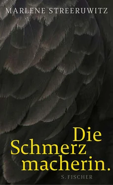 Marlene Streeruwitz Die Schmerzmacherin обложка книги