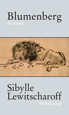 Sibylle Lewitscharoff Blumenberg обложка книги