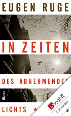 Eugen Ruge In Zeiten des abnehmenden Lichts обложка книги