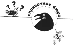 Почему февраль летит У февраля два друга метель да вьюга Изза частых - фото 26