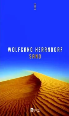 Wolfgang Herrndorf Sand обложка книги