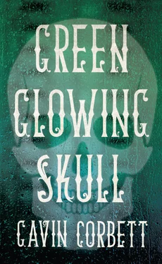 Gavin Corbett Green Glowing Skull обложка книги