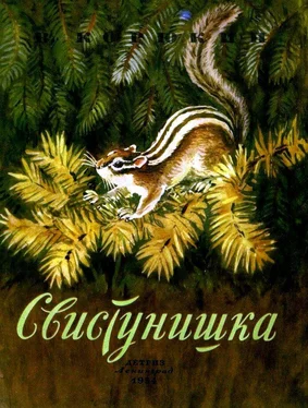 Виктор Корюкин Свистунишка обложка книги