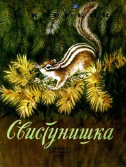 Виктор Корюкин - Свистунишка