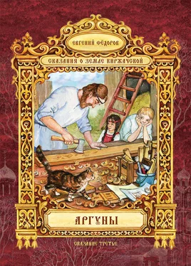 Евгений Федоров Аргуны обложка книги