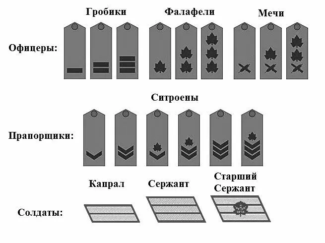 Ещё они просто обожали строить нас буквой П на что давалось несколько - фото 1
