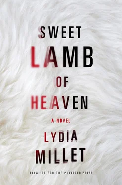 Lydia Millet Sweet Lamb of Heaven обложка книги