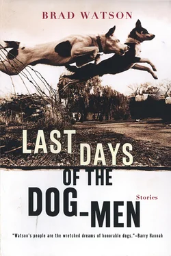 Brad Watson Last Days of the Dog-Men обложка книги