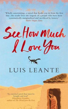 Luis Leante See How Much I Love You обложка книги