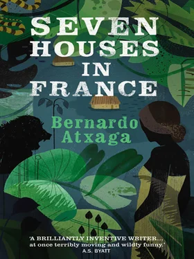 Bernardo Atxaga Seven Houses in France обложка книги