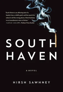 Hirsh Sawhney South Haven обложка книги