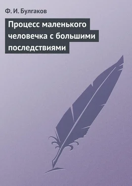 Федор Булгаков Процесс маленького человечка с большими последствиями обложка книги