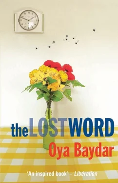 Oya Baydar The Lost Word обложка книги