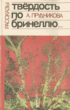 Ангелина Прудникова Твёрдость по Бринеллю обложка книги