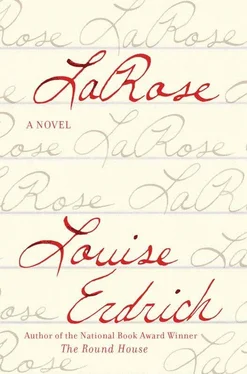 Louise Erdrich LaRose обложка книги