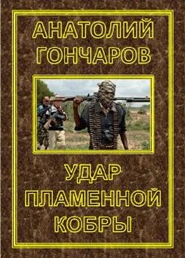 Анатолий Гончаров Удар пламенной кобры обложка книги