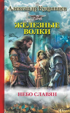 Александр Кудрявцев Железные Волки. Небо славян обложка книги