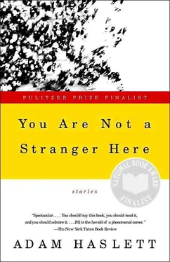 Adam Haslett You Are Not a Stranger Here обложка книги