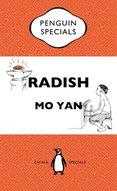 Mo Yan Radish